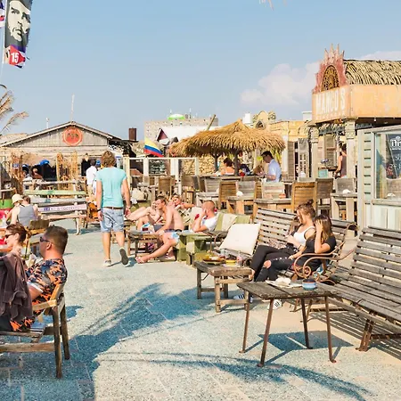 Moyo Kijani * Zandvoort