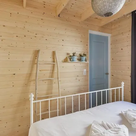 Moyo Kijani * Зандфорт