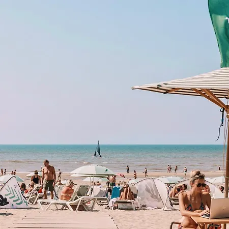 Moyo Kijani * Zandvoort