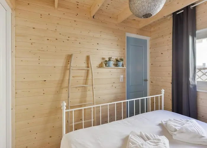 Moyo Kijani * Zandvoort