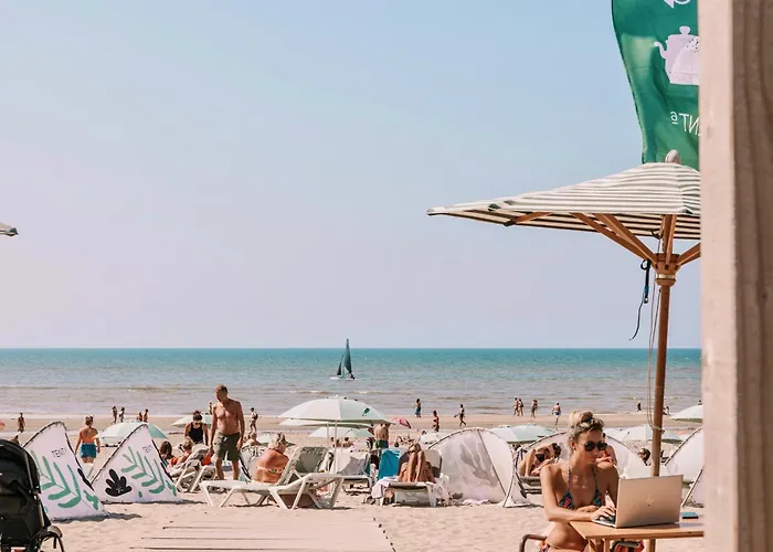 Moyo Kijani * Zandvoort